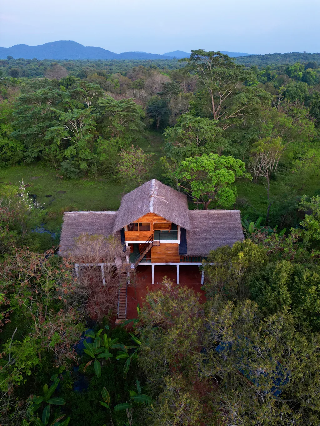 roys villa hostel